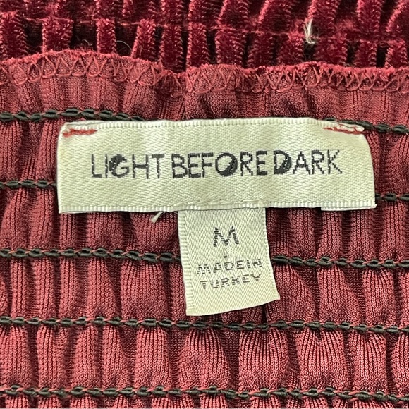 Light Before Dark Urban Outfitters Dark Red Shirred Crop Top Short Sleeve Size M - Picture 8 of 9